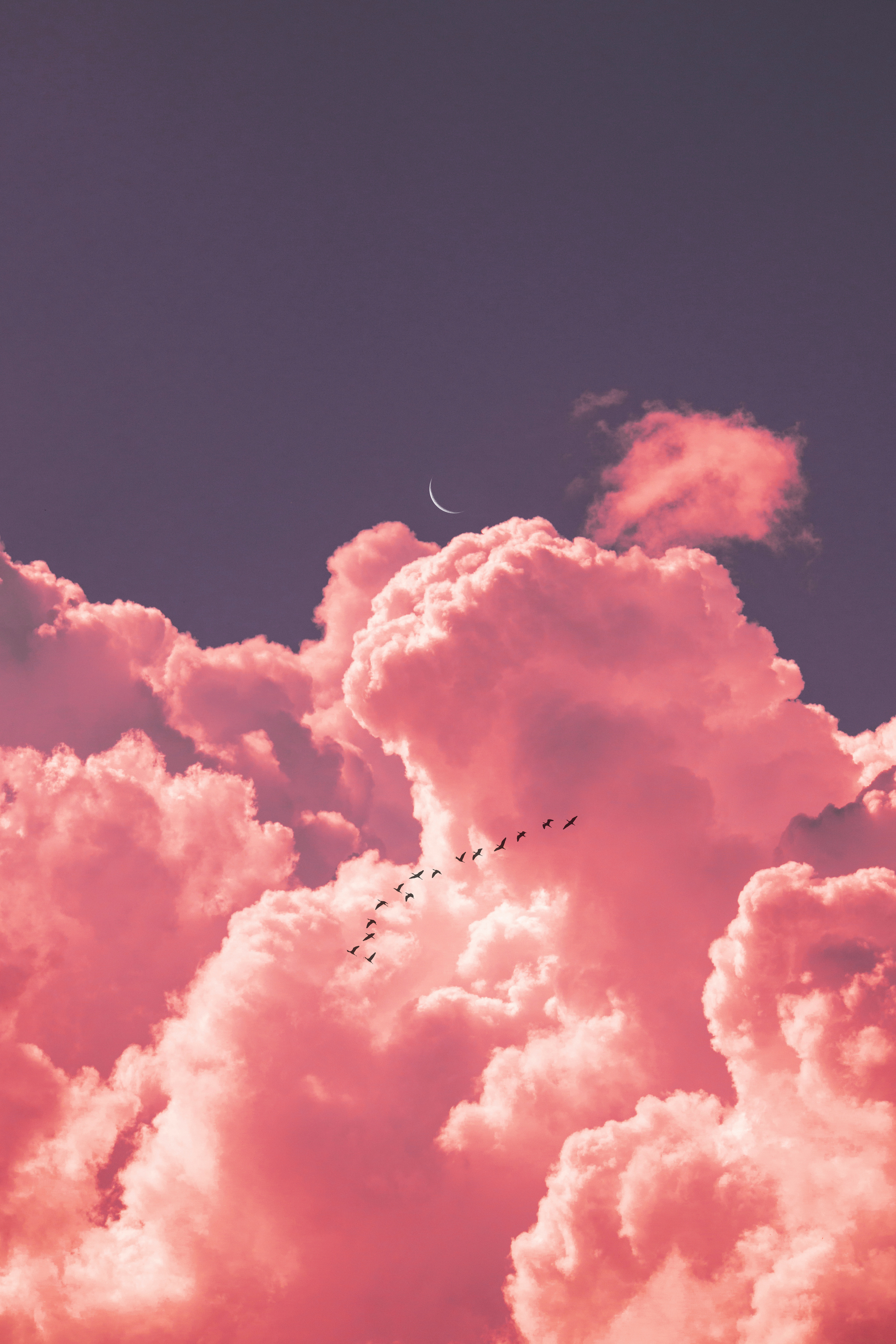 Pink Clouds and Blue Sky